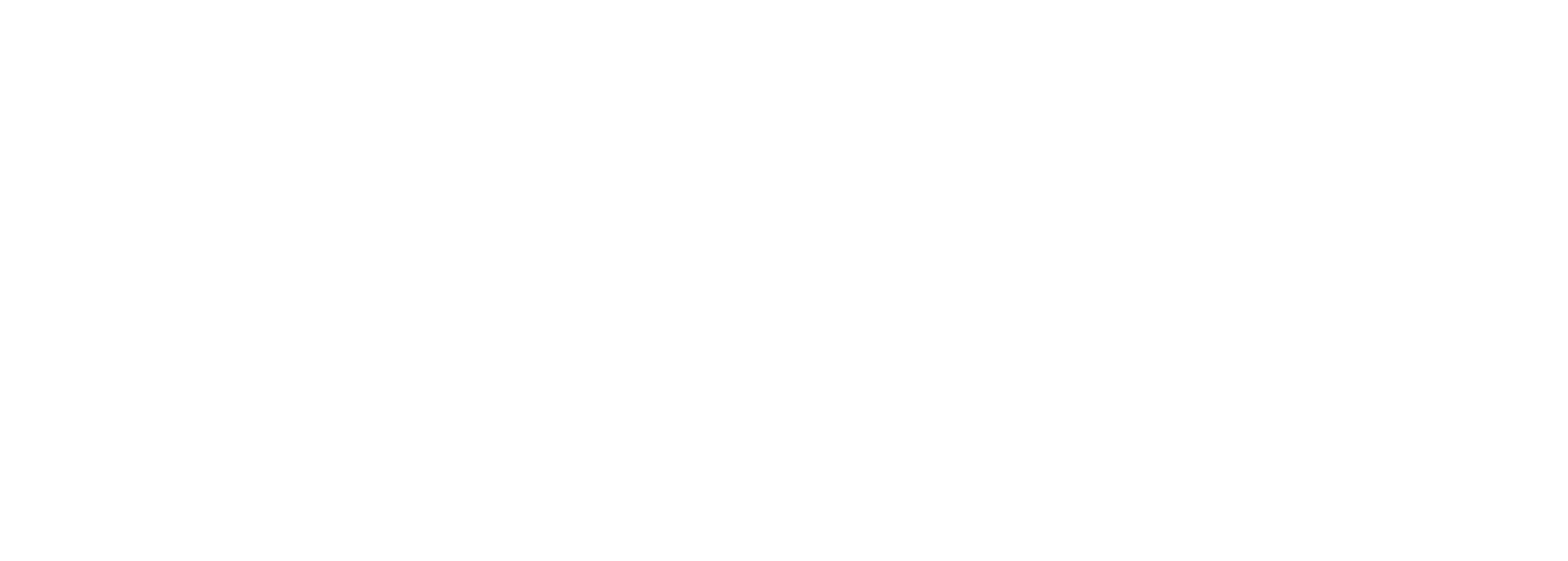 logo branca Kivi festas e eventos